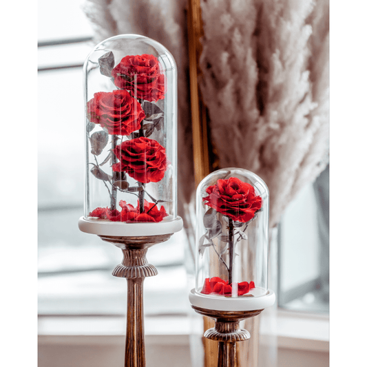 Eternity 3-in-1 Rose in Enchanted Glass Dome