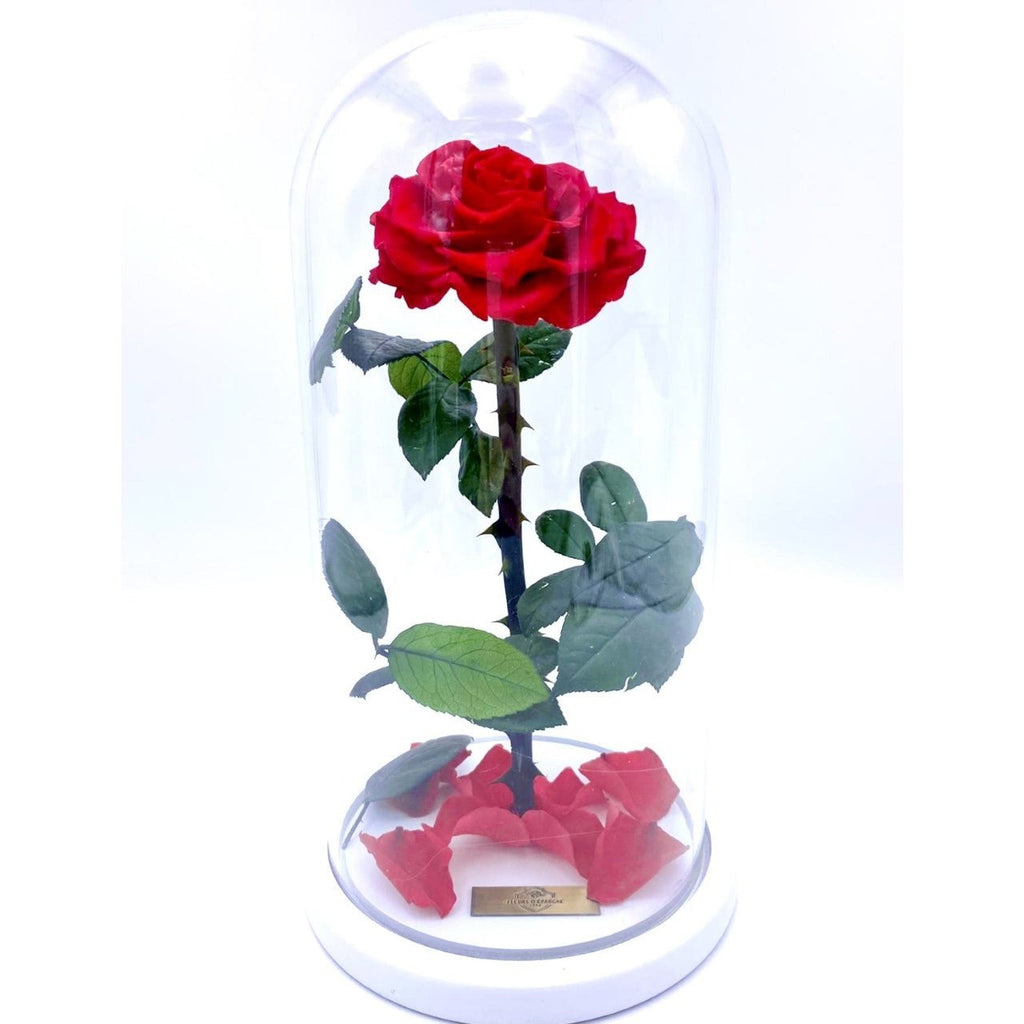 Eternity Rose in Enchanted Glass Dome Pretty Things Florist and